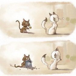 Как понять женщину 1