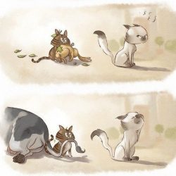 Как понять женщину 2