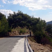 По дороге в Lofou