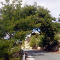 По дороге в Lofou