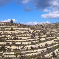 Красота вокруг