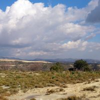 Чуть-чуть стало пасмурно