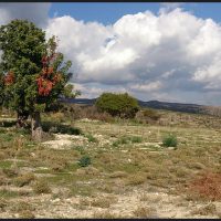 Панорама хмурых туч