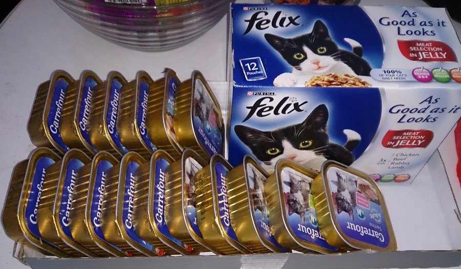 кошачий корм