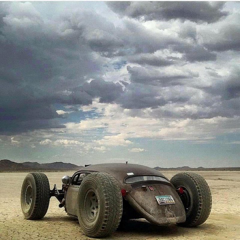 Жук-навозник