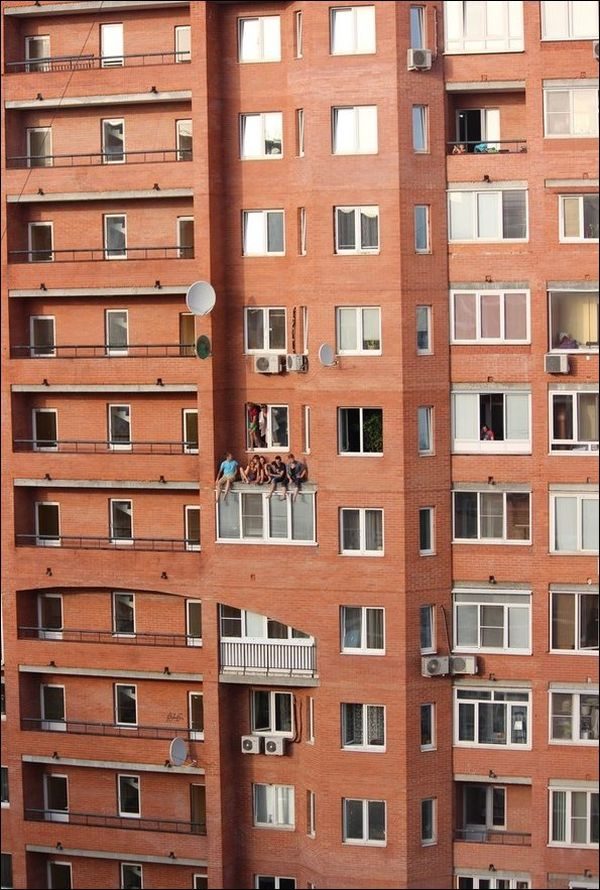 Кандидаты на премию Дарвина