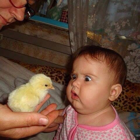 О, боже! Что ЭТО???