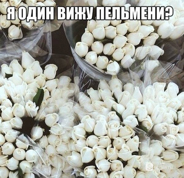 Я один вижу пельмени?