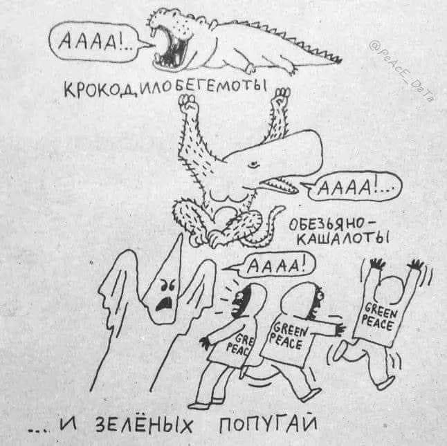 ...и зелёных попугай