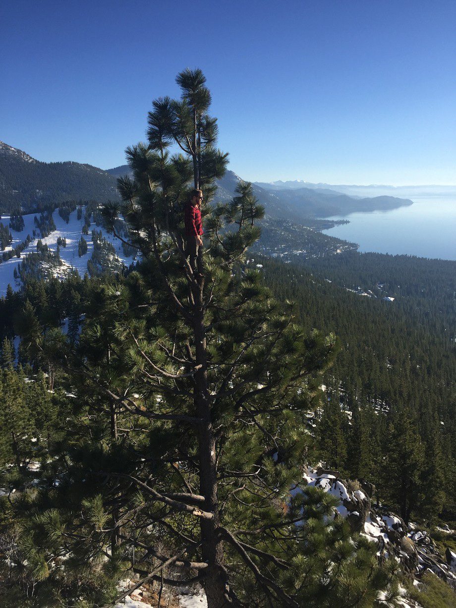 Вперёдсмотрящий Вперёдсмотрящий