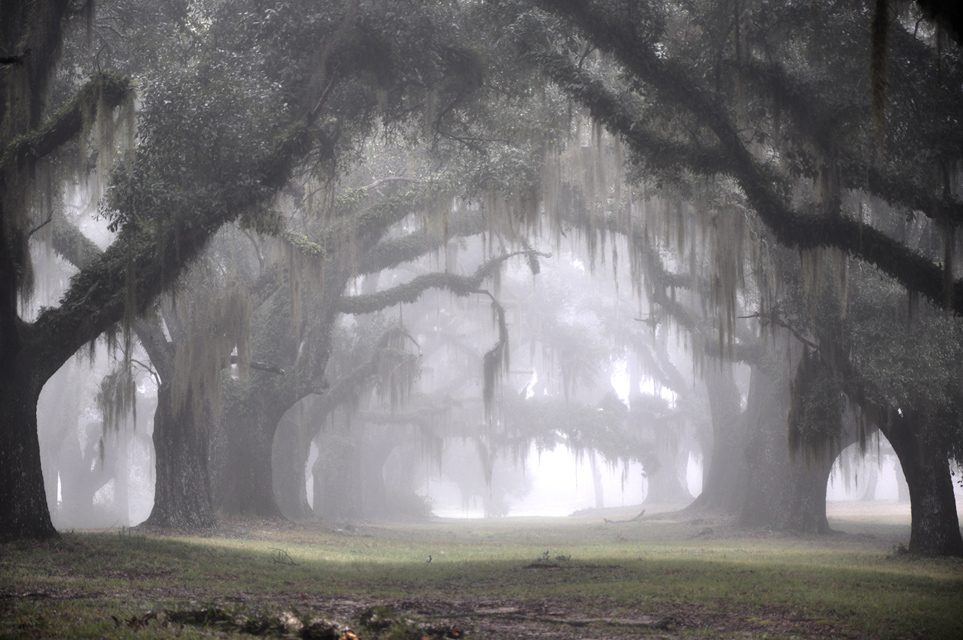 Там, на неведомых дорожках