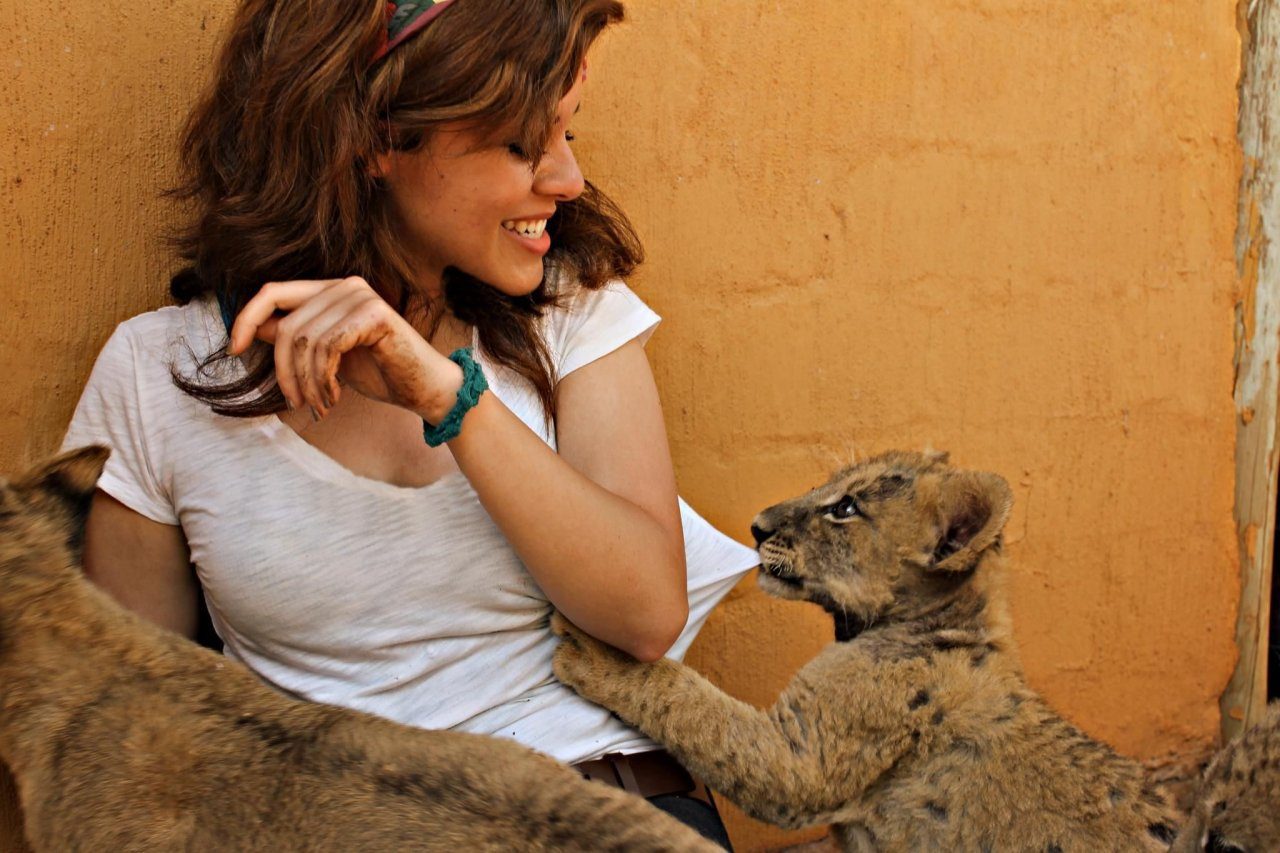 Мурзик, рви!!!