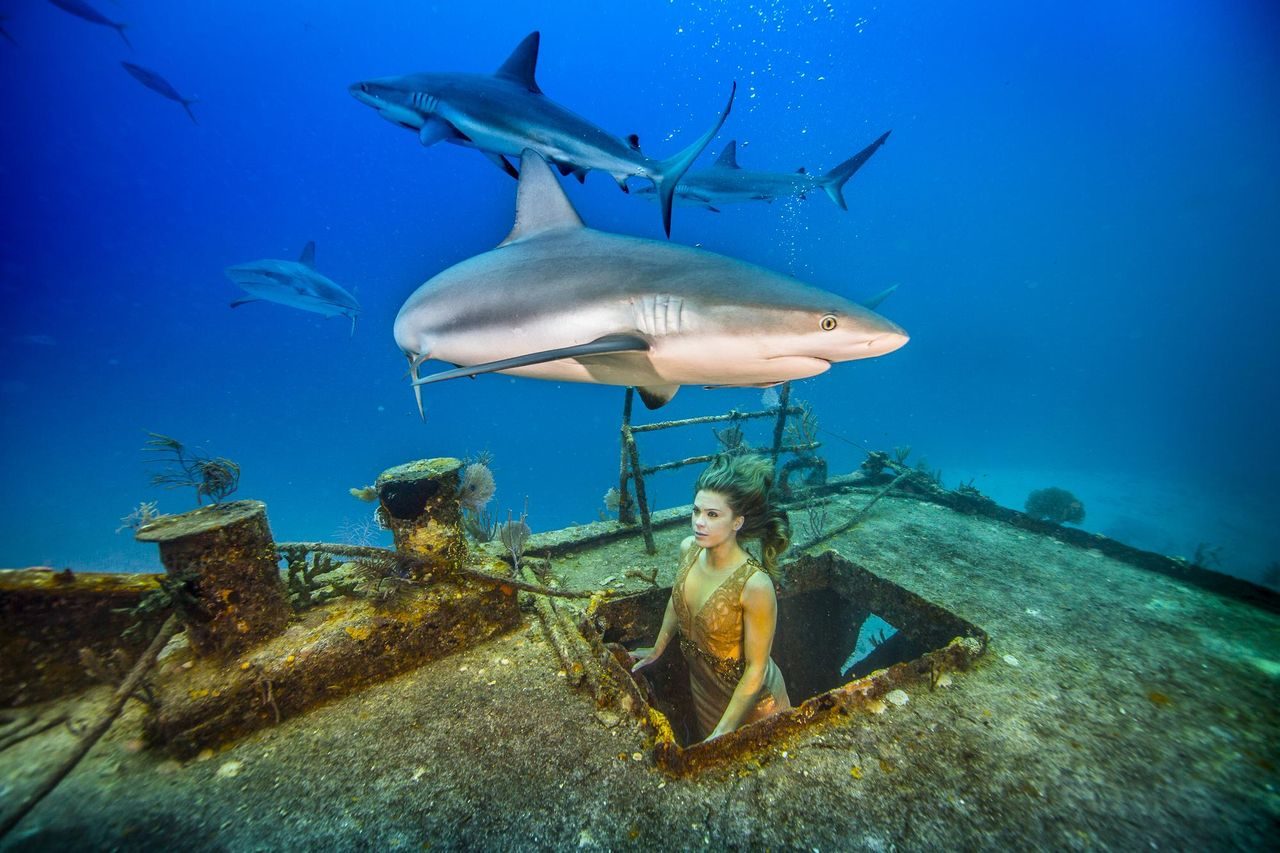 Unexplainable Unexplainable