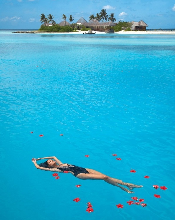 Найди на картинке акулу... >:) Найди на картинке акулу... >:)