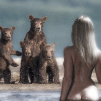 Медведики офигели Медведики офигели