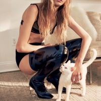 Кот явно что-то задумал! Кот явно что-то задумал!