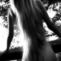 Пора стричься!