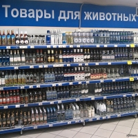 Товары для животных