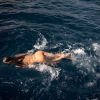 Ныряющий поп