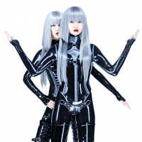 Секс-роботы