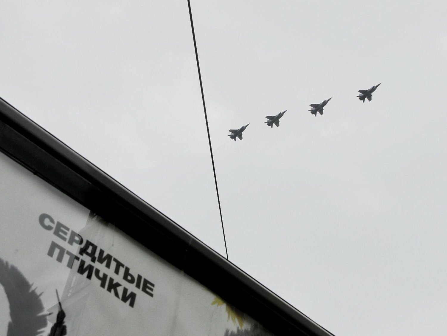 Сердитые птички