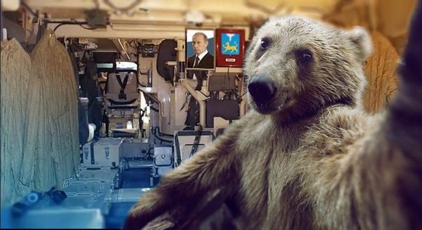 Селфи с медведом