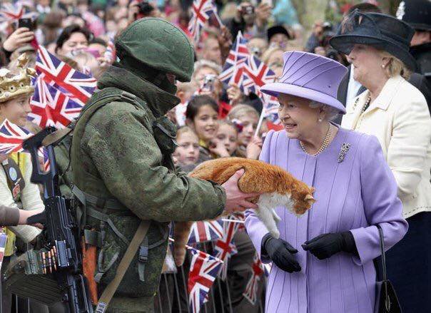 «Это ваш cat?»