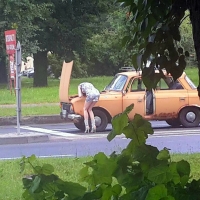 Длинноногий автомеханик, специалист по любому хламу :)