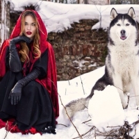 Красная шапочка и серый dog