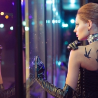 А птички-то уже на юг потянулись...